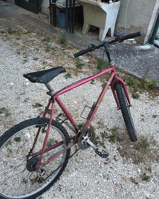 bicicletta spinicci Mountain bike