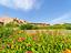 Immagine 26