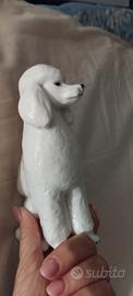 Statuetta Barboncino Porcellana Lomonosov USSR 