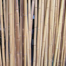 Canne bambu