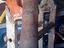 Immagine 3