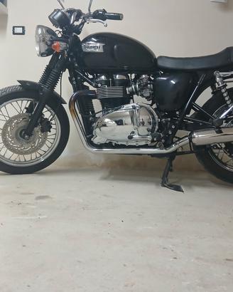 triumph bonneville t 100