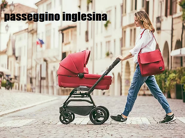 paseggino inglesina matricolato 2013