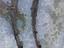 Immagine 21