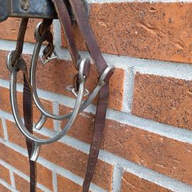 EQUITAZIONE SPERONI MONTA INGLESE, CROMATI E CUOIO