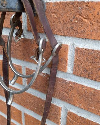 EQUITAZIONE SPERONI MONTA INGLESE, CROMATI E CUOIO