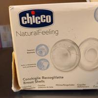 conchiglie raccoglilatte