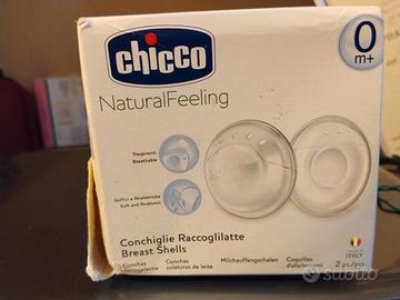 conchiglie raccoglilatte