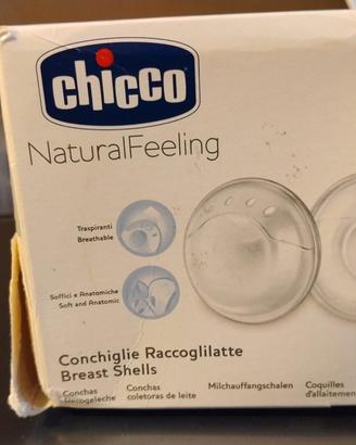 conchiglie raccoglilatte