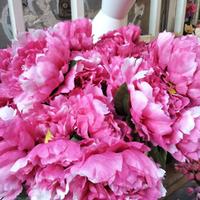Stelo peonie (fucsia)