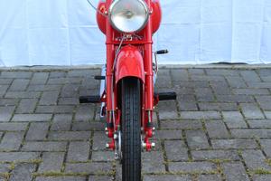 MV Agusta Altro modello - 1961