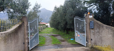 Casa semi indipendente con terreno