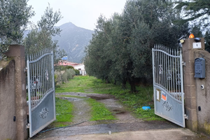Casa semi indipendente con terreno