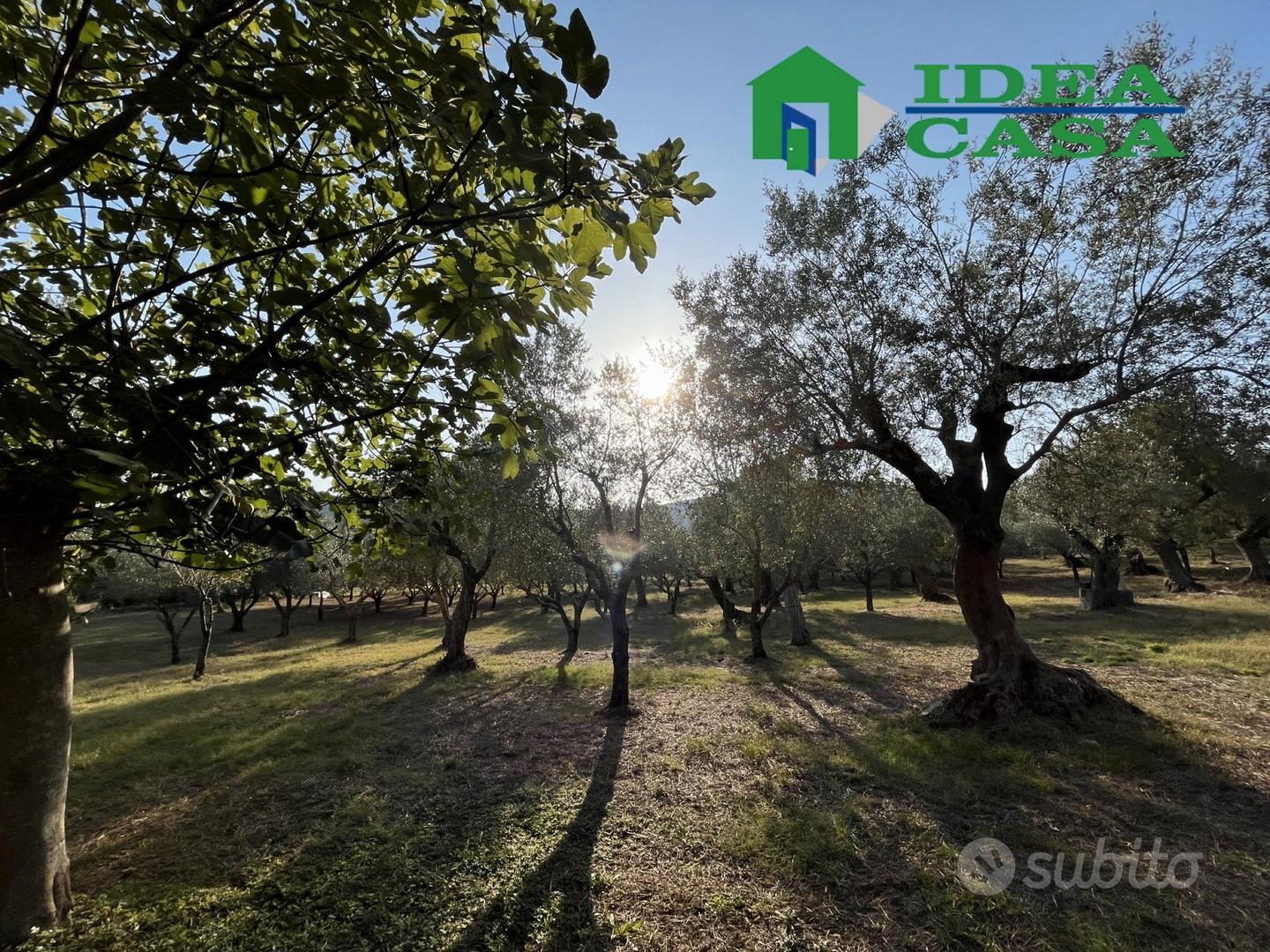 1.974 Terreno Agricolo Pianeggiante - Vista 5