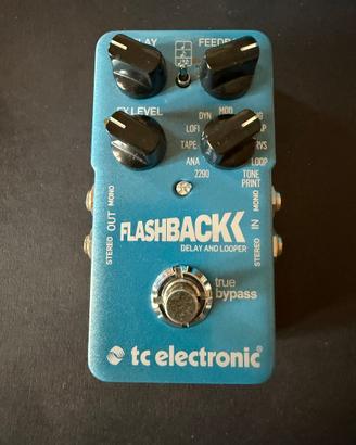 Flasback Delay and Looper