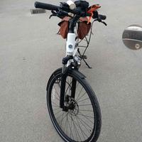 bicicletta elettrica 