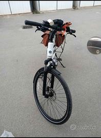 bicicletta elettrica 