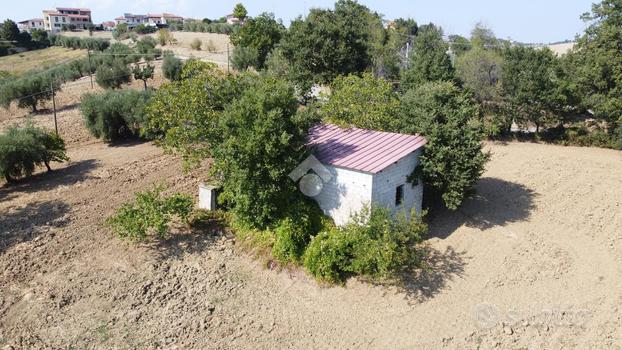 TER. AGRICOLO A MOSCIANO SANT'ANGELO