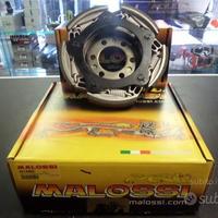 Frizione malossi honda silver wing 400 / 600