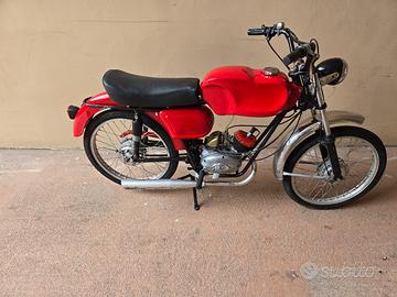 negrini moto NPS