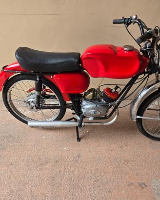 negrini moto NPS