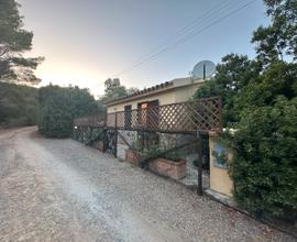 Casa Penelope