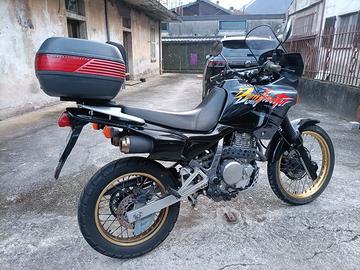  Honda dominator 