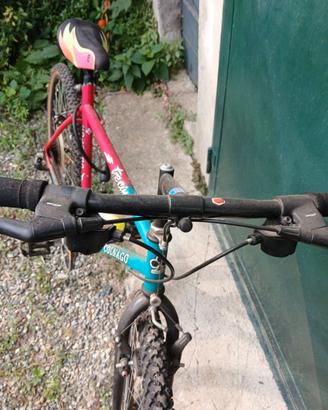 Bicicletta