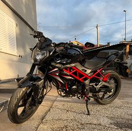 Moto Benelli bn 125 2025