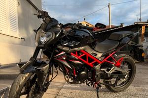 Moto Benelli bn 125 2025