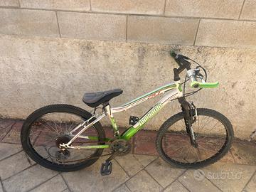 Bicicletta
