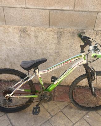 Bicicletta
