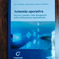 Armonia operativa. Processi, controllo e risk mana