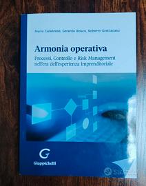 Armonia operativa. Processi, controllo e risk mana