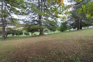 TER. RESIDENZIALE A LANGHIRANO