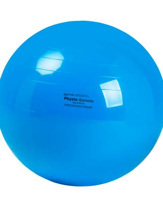 2 palle Physio Gymnic 95cm