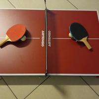 Mini table ping pong 