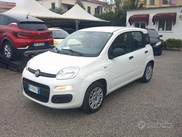 FIAT PANDA 1.2 69cv Easy