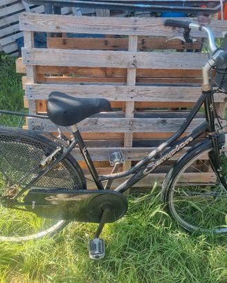Bicicletta Scorpion Donna