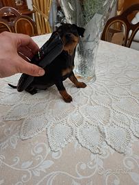 Cuccioli di pincher toy