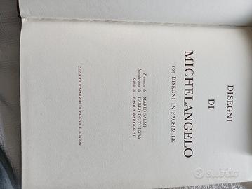 Disegni di Michelangelo 