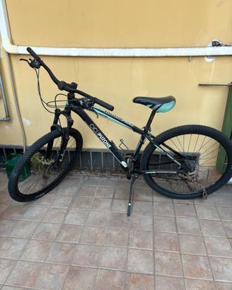 Mountain Bike Cicli Puzone