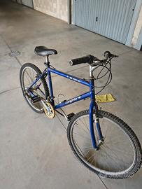 bicicletta uomo 