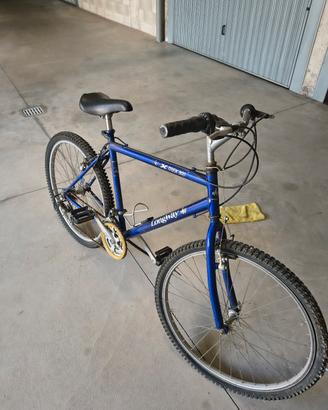 bicicletta uomo 