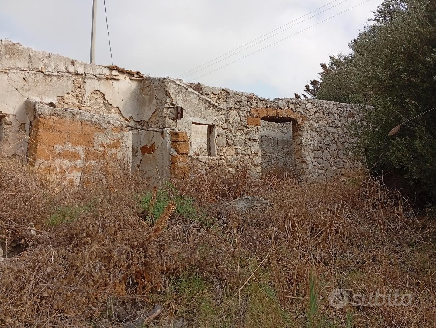 Lotto di Terreno con Alberi d'ulivo produttivi - Vista 5