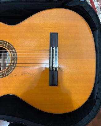 Chitarra suzuki