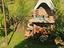 Immagine 5