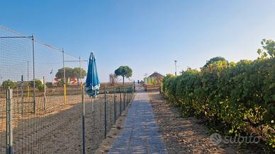 Jesolo Pineta Frontemare