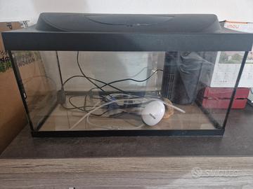 Acquario Tetra 50 lt