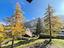 Immagine 22